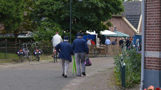 Ganzenmarkt (zondag  2 juli 2017)